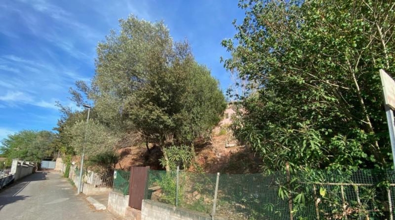 Barcelona - Corbera de Llobregat - 520m2