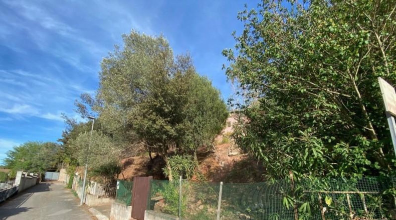 Barcelona - Corbera de Llobregat - 520m2