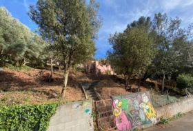Foto 11