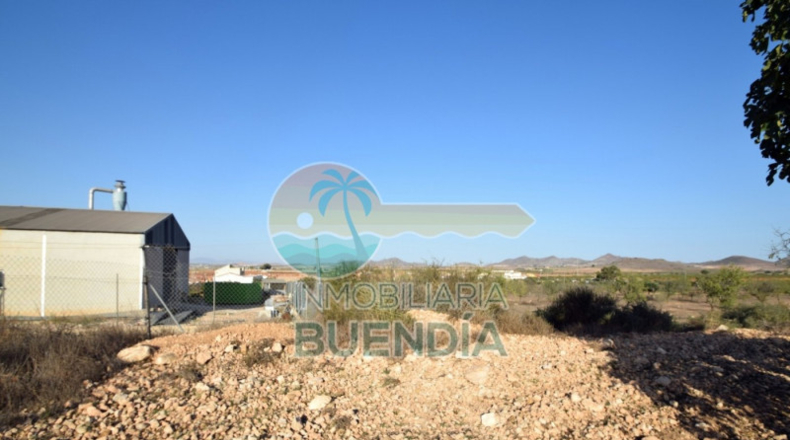 Múrcia - Fuente Álamo de Murcia - 5291m2