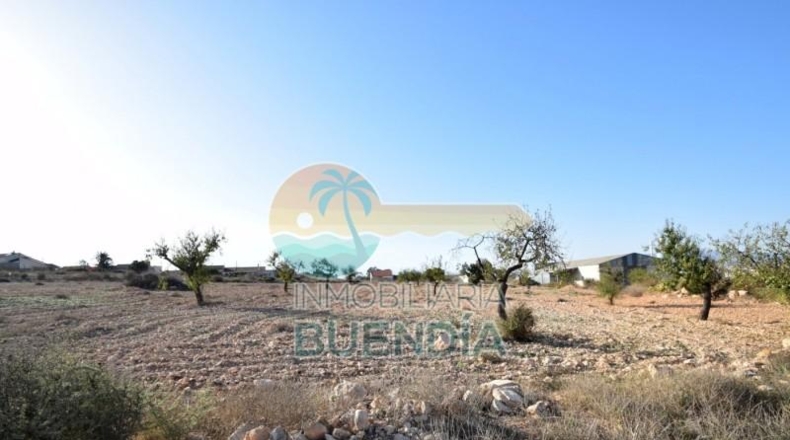 Múrcia - Fuente Álamo de Murcia - 5291m2
