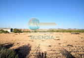 Terreny no urbanitzable en venda a la España, Fuente Álamo, ref.: TR117526 foto