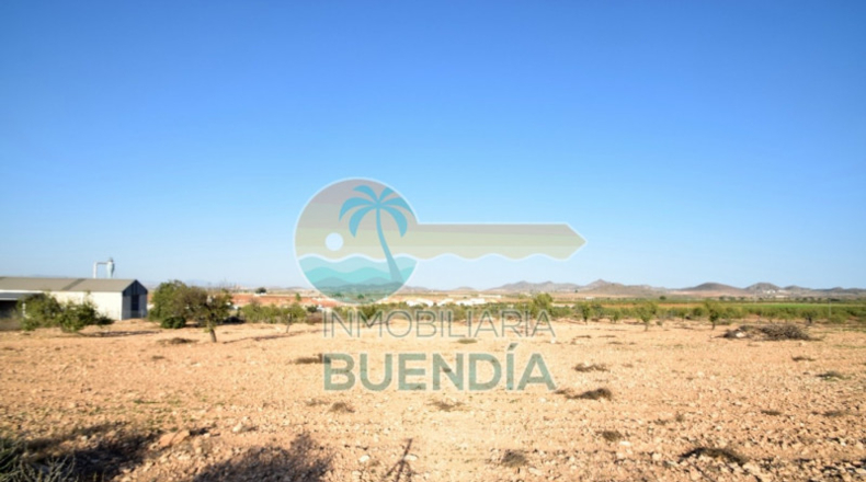 Múrcia - Fuente Álamo de Murcia - 5291m2