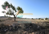 Terreny no urbanitzable en venda a la España, Fuente Álamo, ref.: TR117526 foto