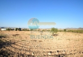 Terreny no urbanitzable en venda a la España, Fuente Álamo, ref.: TR117526 foto