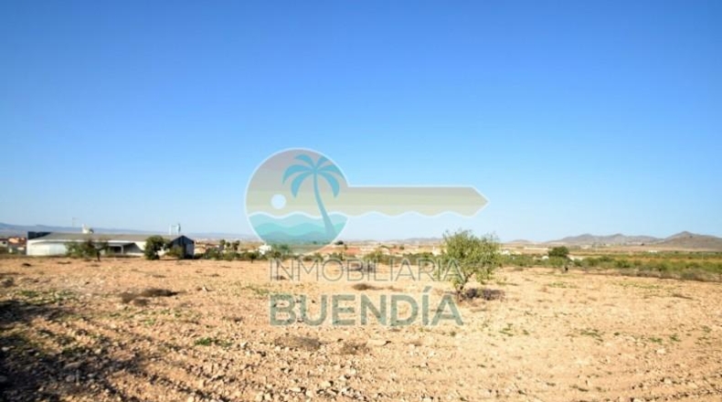 Múrcia - Fuente Álamo de Murcia - 5291m2