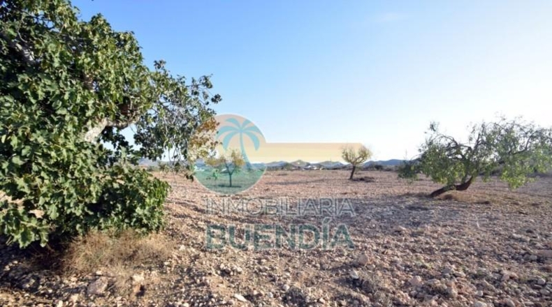 Múrcia - Fuente Álamo de Murcia - 5291m2