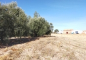 Terreny no urbanitzable en venda a la España, Antequera, ref.: TR136005 foto