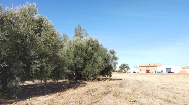 Málaga - Antequera - 4881m2