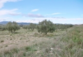 Non-developable land for sale on España, Alcantarilla, ref: TR370616 photo