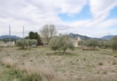 Non-developable land for sale on España, Alcantarilla, ref: TR370616 photo