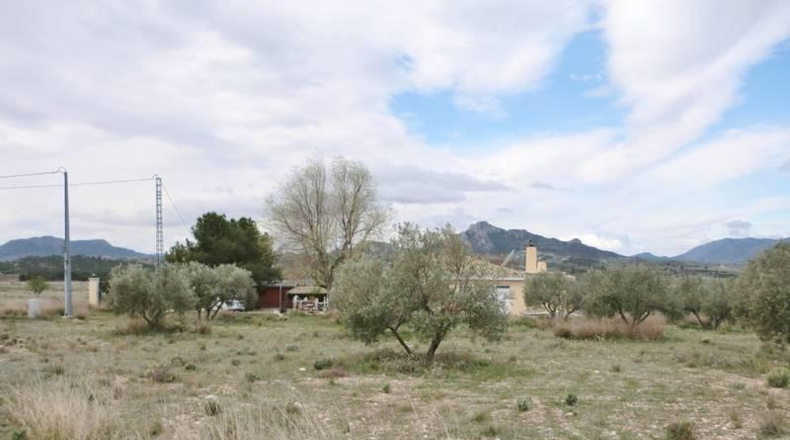 Murcia - Alcantarilla - 12476m2