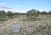 Non-developable land for sale on España, Alcantarilla, ref: TR370616 photo