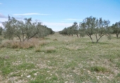 Non-developable land for sale on España, Alcantarilla, ref: TR370616 photo