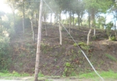 Land suitable for development for sale on España, Sant Genís de Palafolls, ref: TR114962 photo