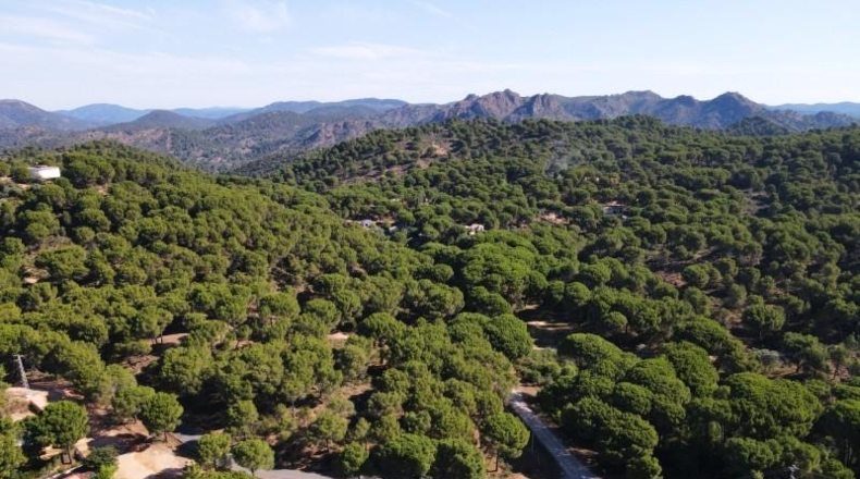 Córdoba - Còrdova - 3000m2