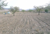 Land suitable for development for sale on España, Hondón de las Nieves, ref: TR141662 photo