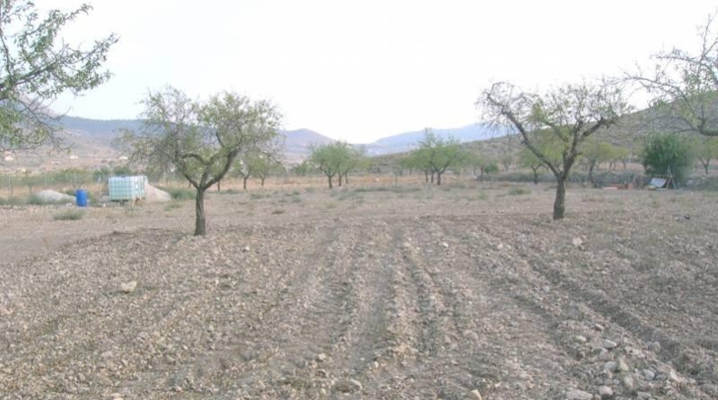 Alicante - Hondón de las Nieves - 11498m2