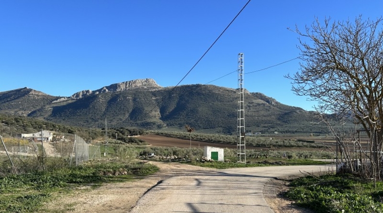 Malaga - Archidona - 1200m2