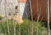Urban land for sale on España, Iniesta, ref: TR128987 photo