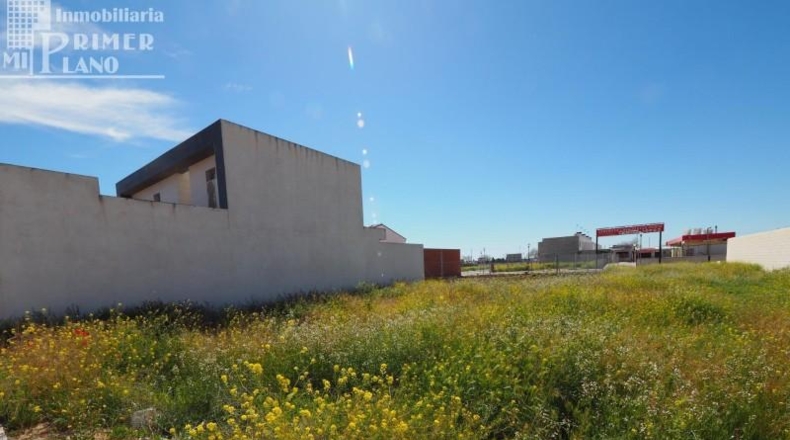 Сьюдад-Реаль - Tomelloso - 230m2