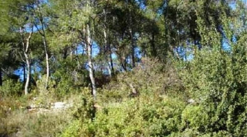 Barcelona - Vallirana - 807m2