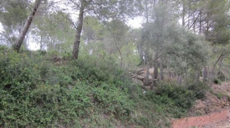 Barcelona - Vallirana - 807m2