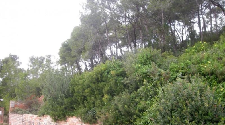 Barcelona - Vallirana - 807m2