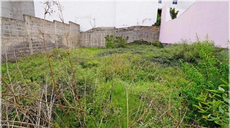 Las Palmas - Teror - 285m2