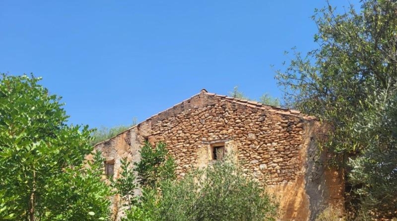Castellón - Валь-д'Альба - 8065m2