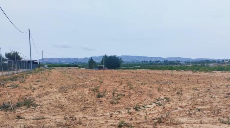 Murcia - Librilla - 7563m2