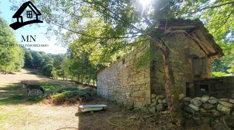 Burgos - Espinosa de los Monteros - 7462m2