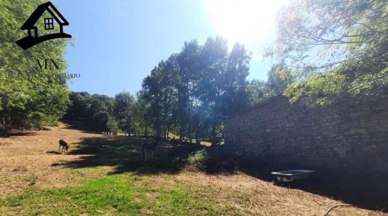 Burgos - Espinosa de los Monteros - 7462m2