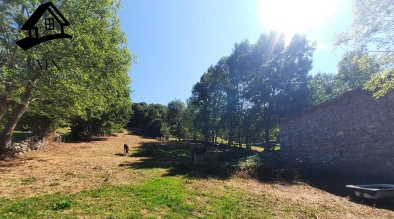 Burgos - Espinosa de los Monteros - 7462m2
