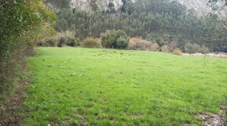 Cantabria - Castro-Urdiales - 1686m2