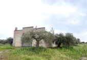 Non-developable land for sale on España, Guareña, ref: TR308681 photo