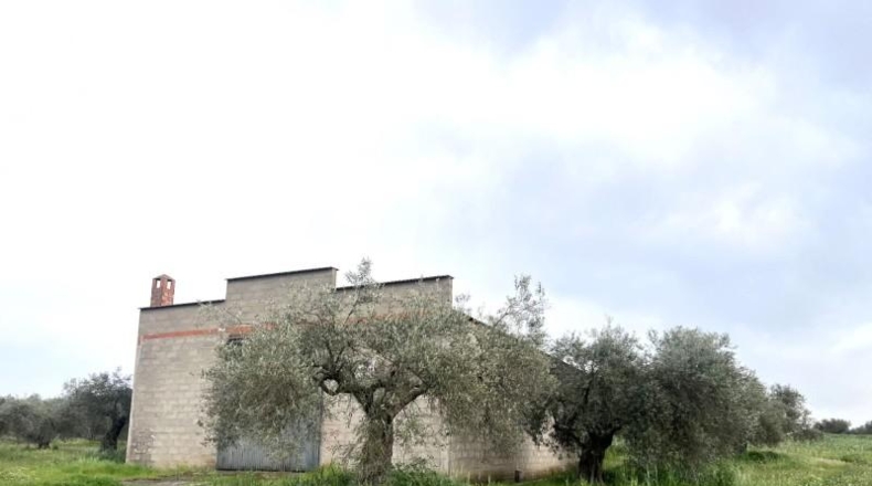 Badajoz - San Pedro de Mérida - 2282m2