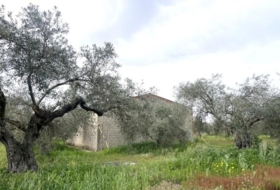 Guareña 2282&nbsp;m² 