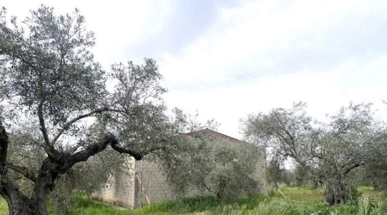 Badajoz - San Pedro de Mérida - 2282m2