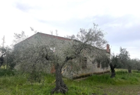 Guareña 2282&nbsp;m² 