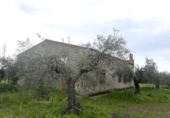 Non-developable land for sale on España, Guareña, ref: TR308681 photo