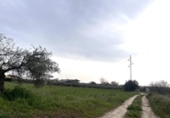 Non-developable land for sale on España, Guareña, ref: TR308681 photo