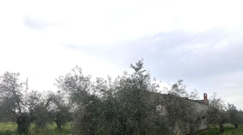 Badajoz - San Pedro de Mérida - 2282m2