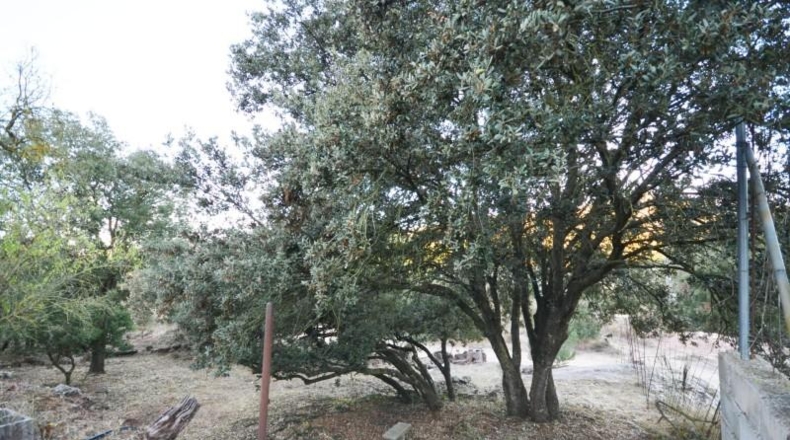 Tarragona - Prades - 850m2