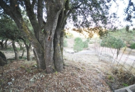 Prades 850&nbsp;м²