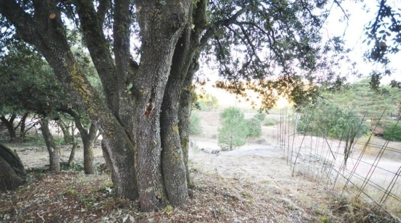 Tarragona - Prades - 850m2