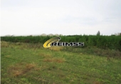 Non-developable land for sale on España, Malgrat de Mar, ref: TR354833 photo