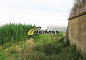Non-developable land for sale on España, Malgrat de Mar, ref: TR354833 photo