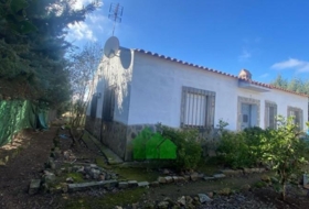 Corte de Peleas 628&nbsp;m²