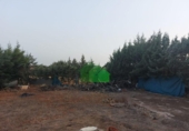 Chalet independiente con terreno en venta en la España, Corte de Peleas, ref: TR350022 foto